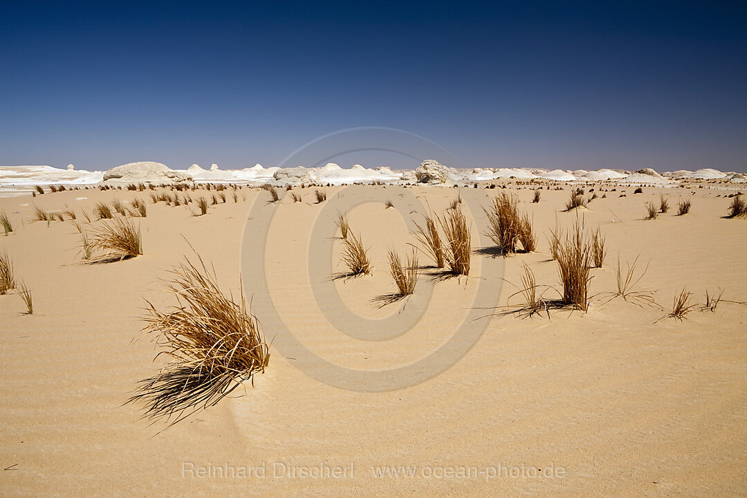 Landschaft in Nationalpark Weisse Wueste