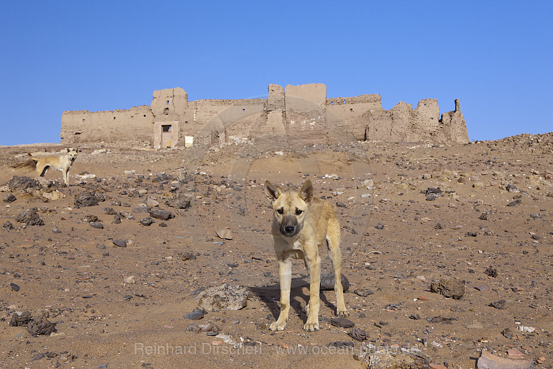 Ruins of El-Ghweita Temple in Charga Oasis