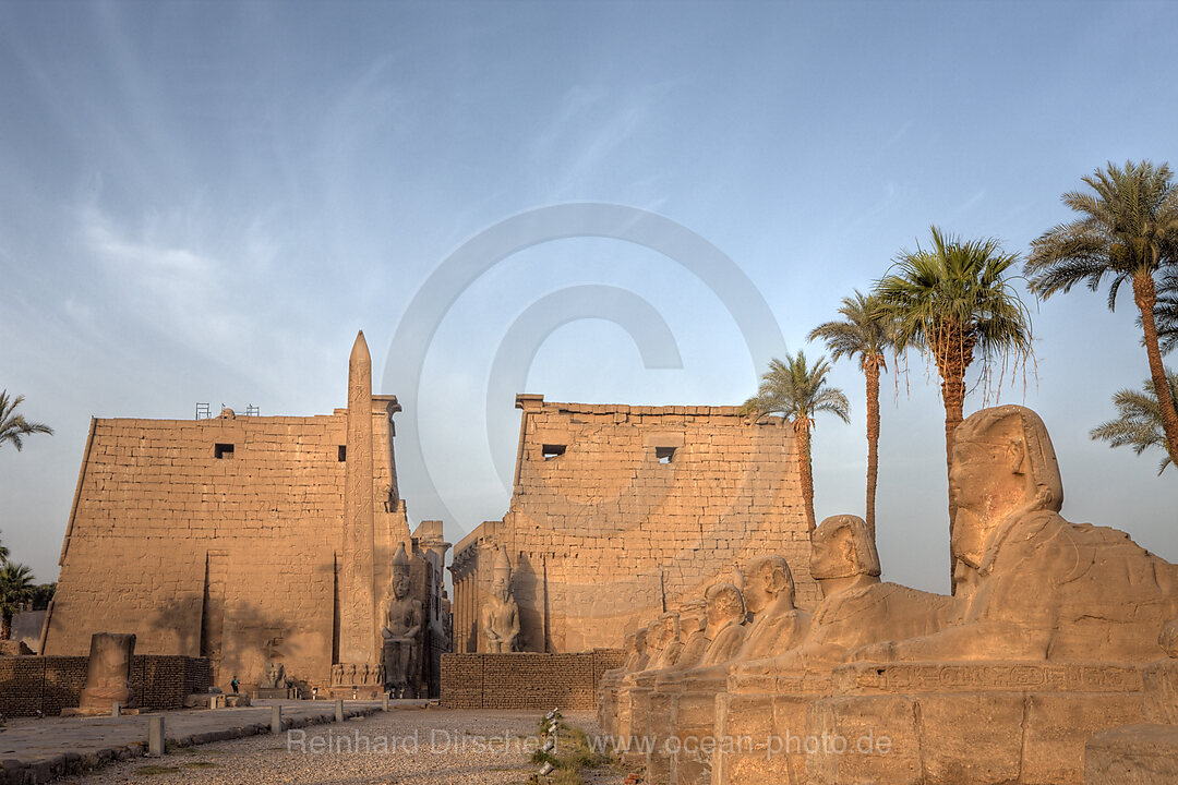 Alley of Sphinxes at Luxor Temple