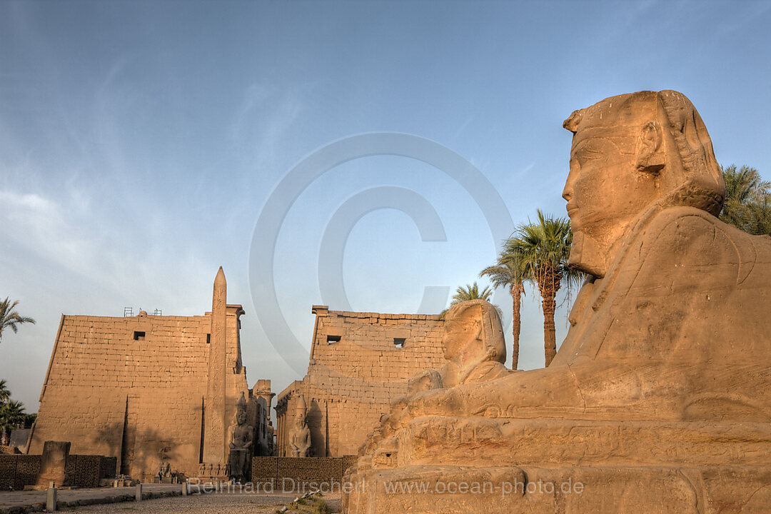 Alley of Sphinxes at Luxor Temple