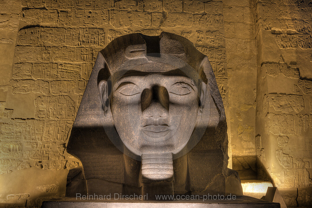 Head of Ramesses II Statue at Luxor Temple