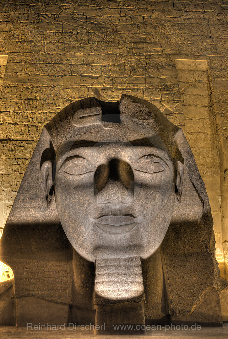Head of Ramesses II Statue at Luxor Temple