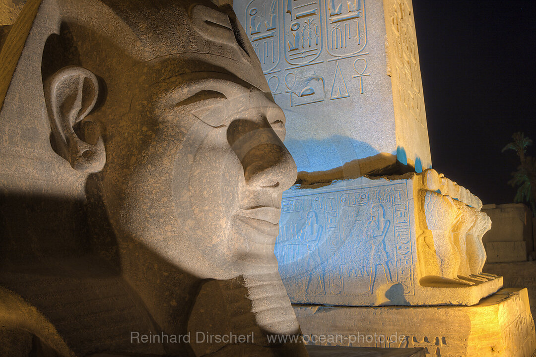Head of Ramesses II Statue at Luxor Temple