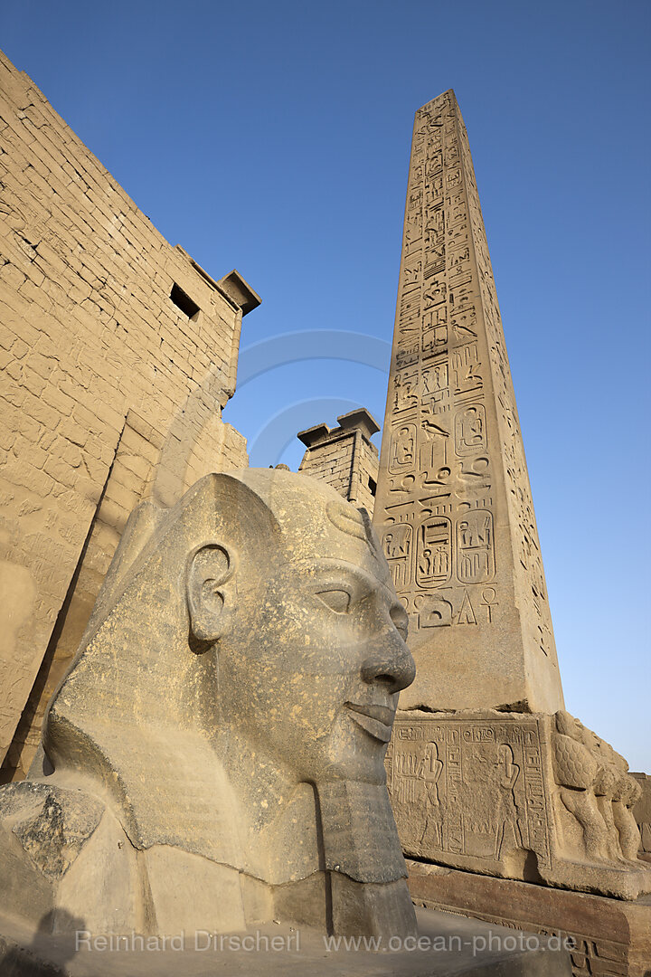 Head of Ramesses II Statue at Luxor Temple