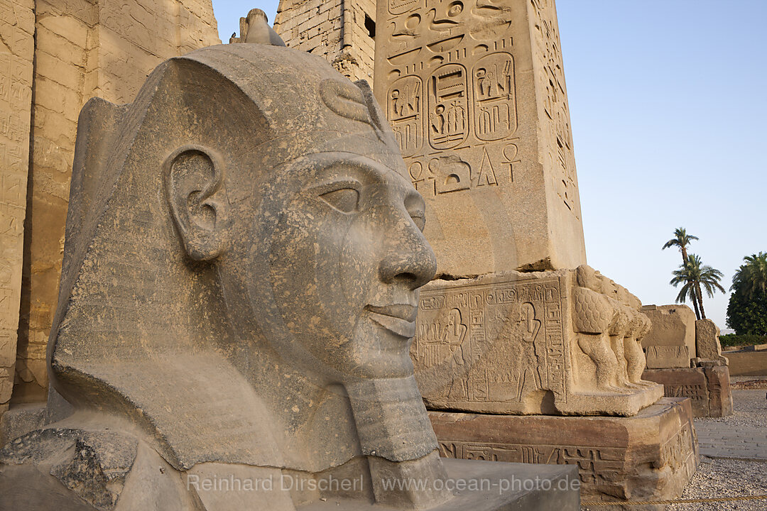 Kopf von Ramses II Statue vor Luxor-Tempel, Luxor, Aegypten