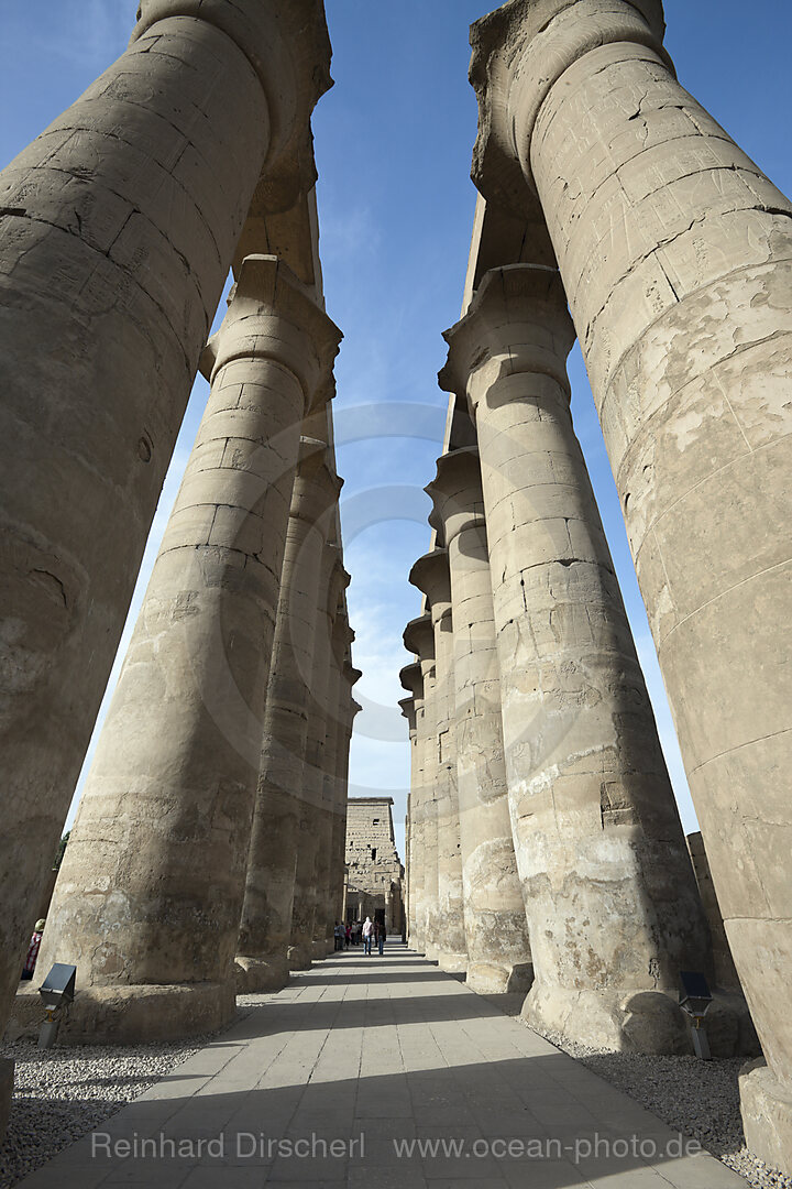Saeulenhof von Luxor-Tempel