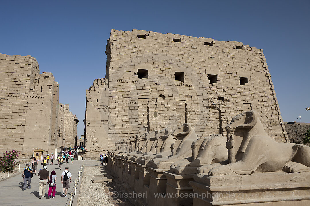 Widderallee vor Karnak Tempel