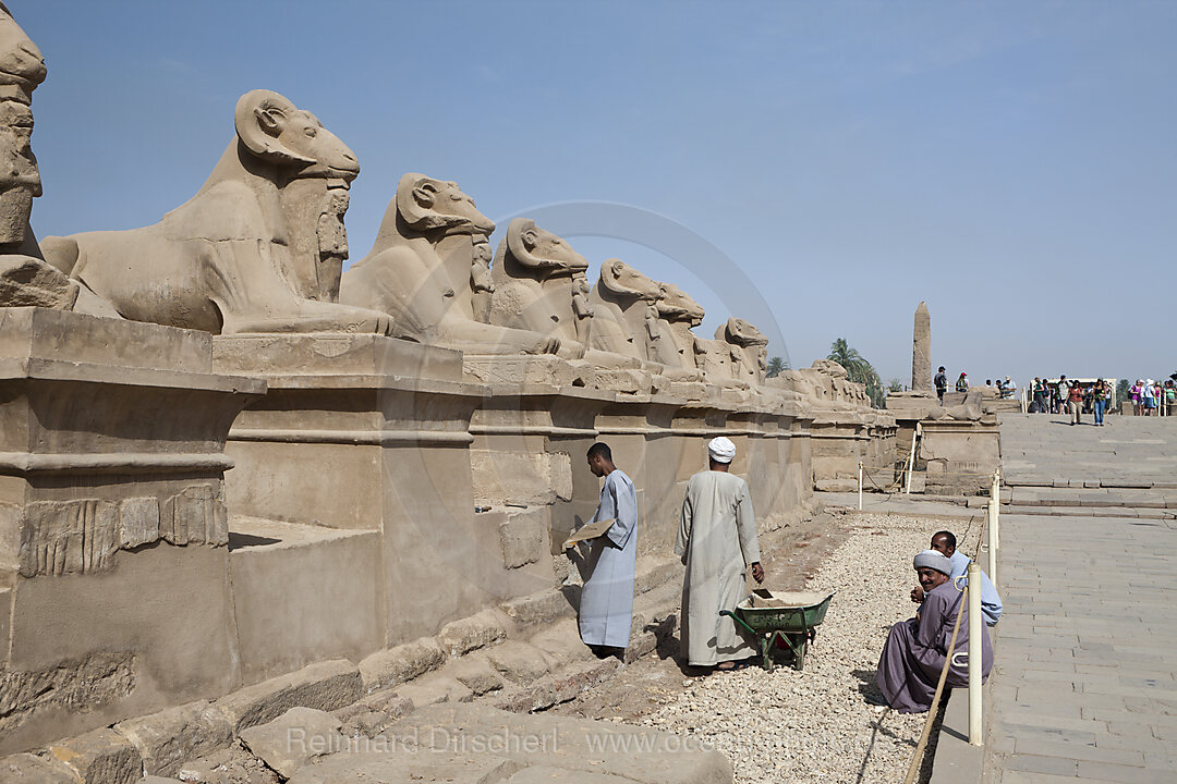 Worker restore Row of Ram-headed Sphinxes at Karnak Temple