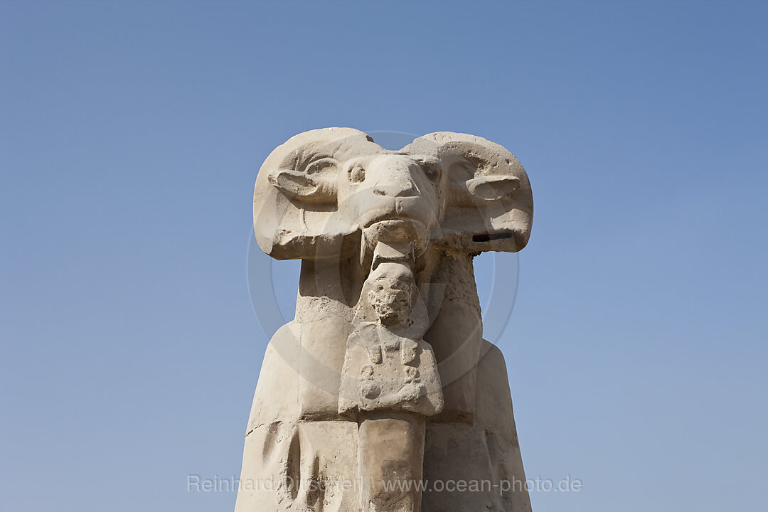Row of Ram-headed Sphinxes at Karnak Temple