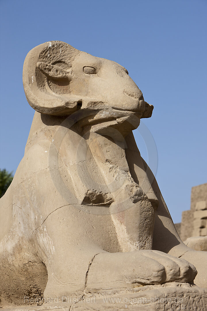 Row of Ram-headed Sphinxes at Karnak Temple