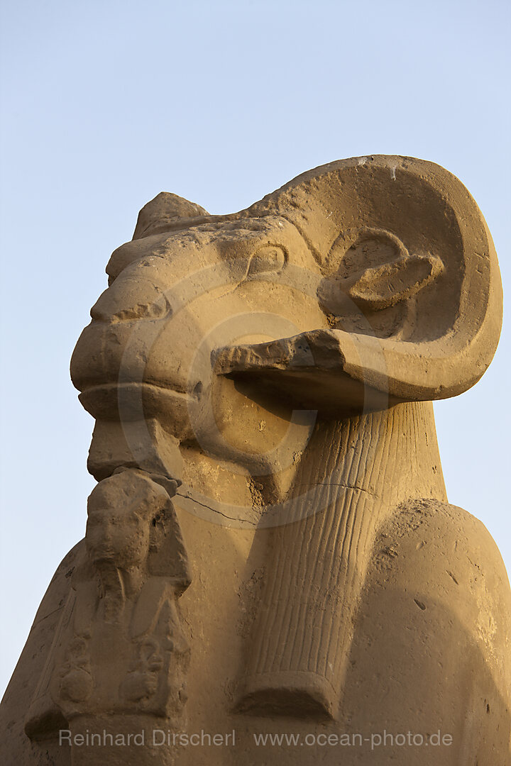 Widderallee vor Karnak Tempel