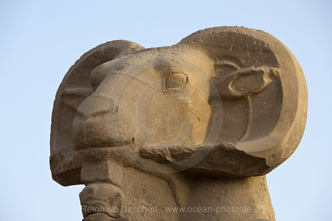 Widderallee vor Karnak Tempel