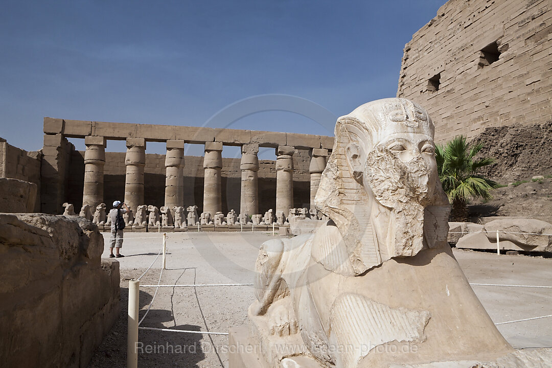 Sphinx in Karnak Tempel