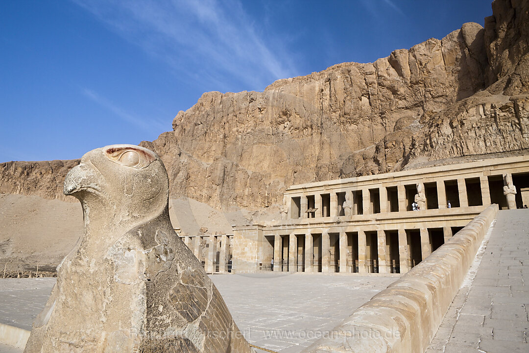 Horus-Falke an der Rampe des Totentempel der Hatschepsut