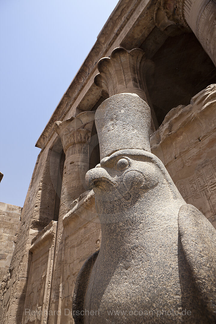 Horus Falke in Horus-Tempel von Edfu