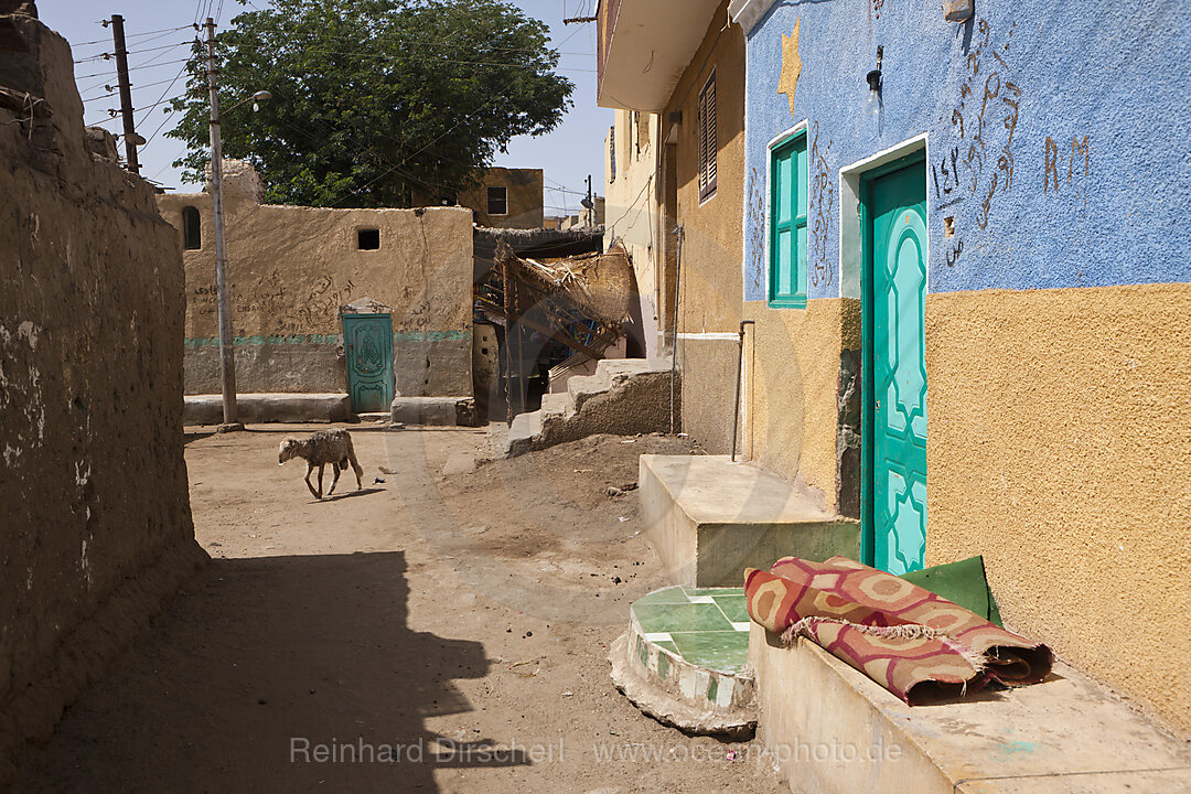 Strassenszene Nubisches Dorf auf der Insel Elephantine, Assuan, Aegypten