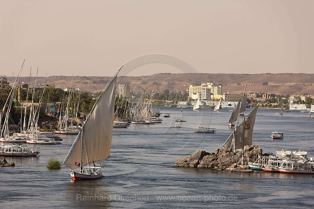 Felucca on Nile River