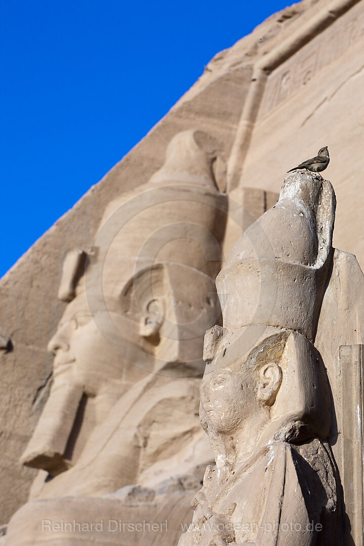 Koloss-Statue von Pharao Ramses II., Abu Simbel, Aegypten