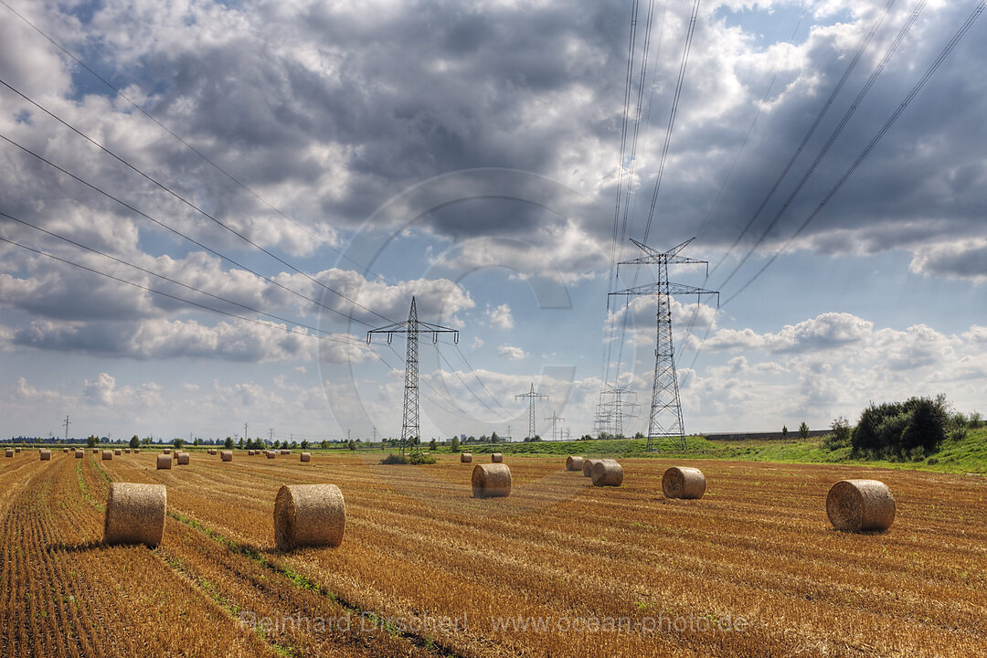 Strohballen und Strommasten, Muenchen, Bayern, Deutschland