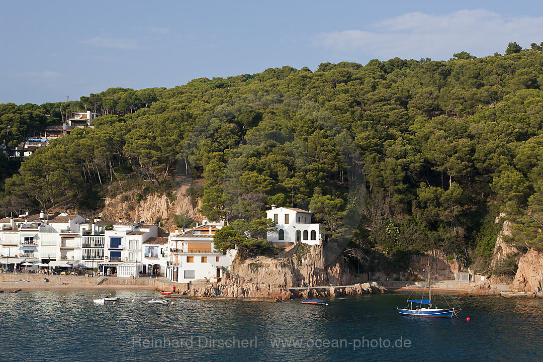 View on Tamariu