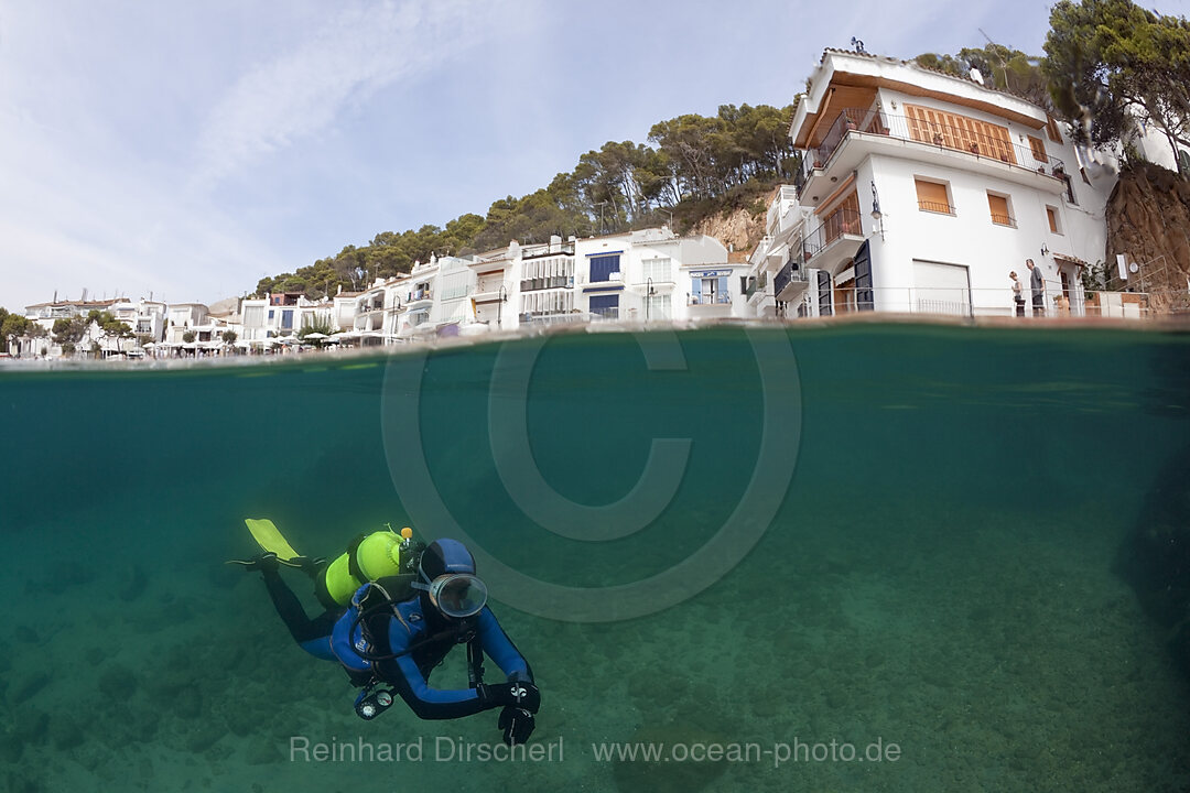 Tauchen am Hausriff von Tamariu, Tamariu, Costa Brava, Mittelmeer, Spanien