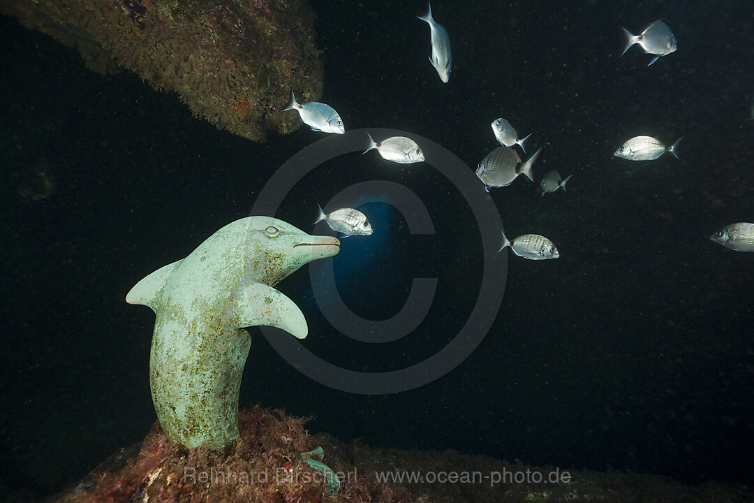 Delfin Statue in Unterwasser-Hoehle, Dofi Nord, Medes Inseln, Costa Brava, Mittelmeer, Spanien