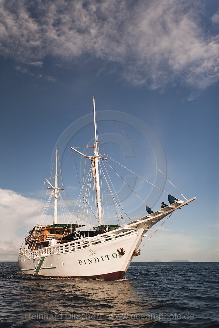 Kreuzfahrtschiff vor Sorong