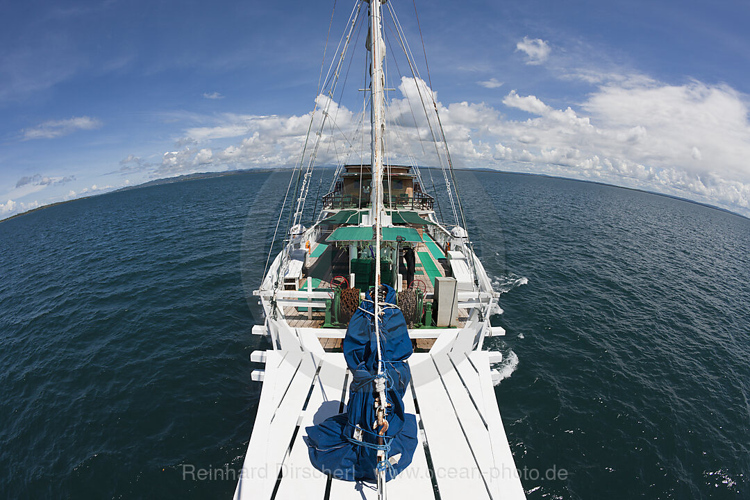 Kreuzfahrtschiff vor Sorong