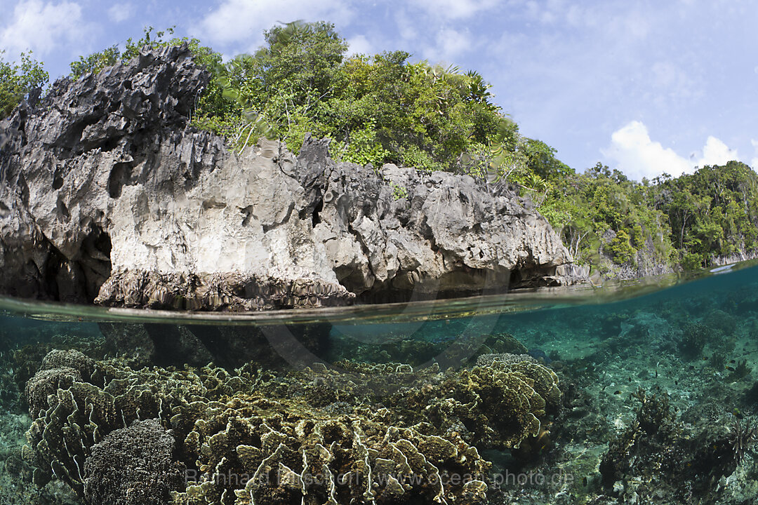 Shallow Coral Reef, Raja Ampat, West Papua, Indonesia