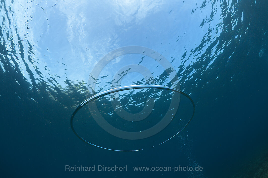 Bubble Ring made by Scuba Diver underwater