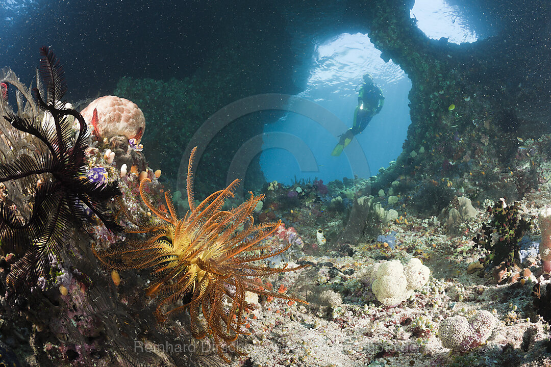 Scuba Diver in Grotto
