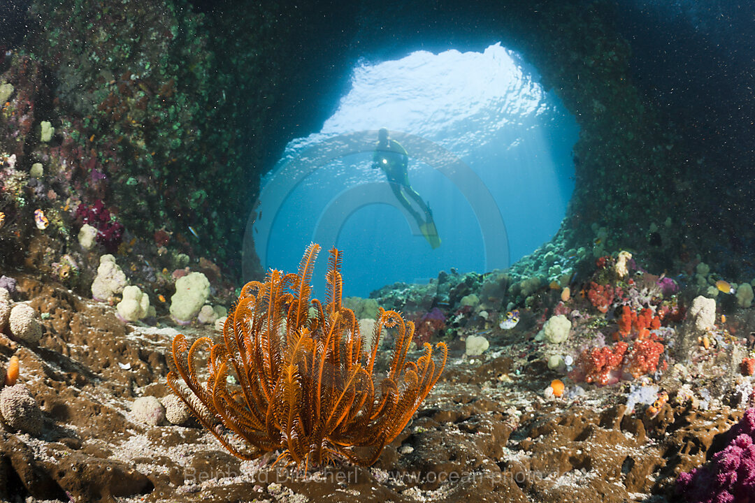 Scuba Diver in Grotto