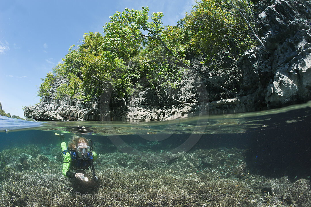 Schnorcheln am flachen Korallenriff, Raja Ampat, West Papua, Indonesien