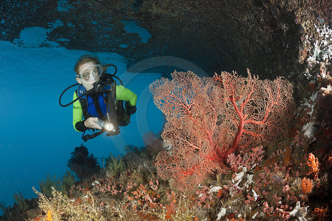 Taucherin und Korallenriff, Raja Ampat, West Papua, Indonesien