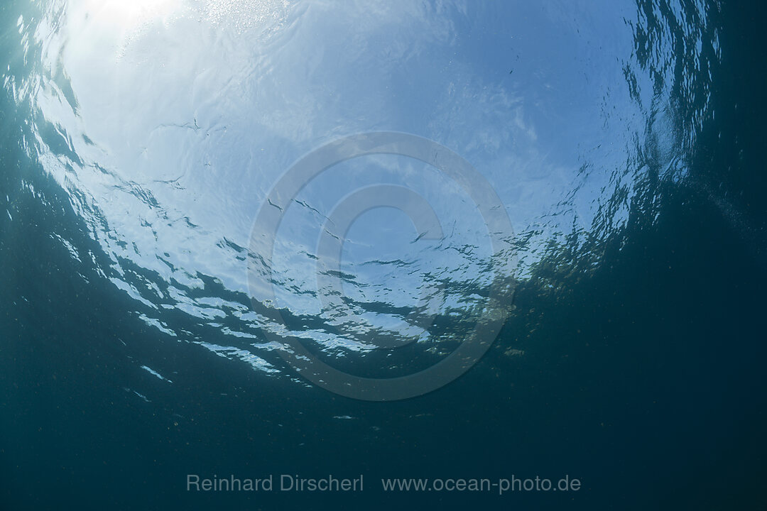 Water Surface