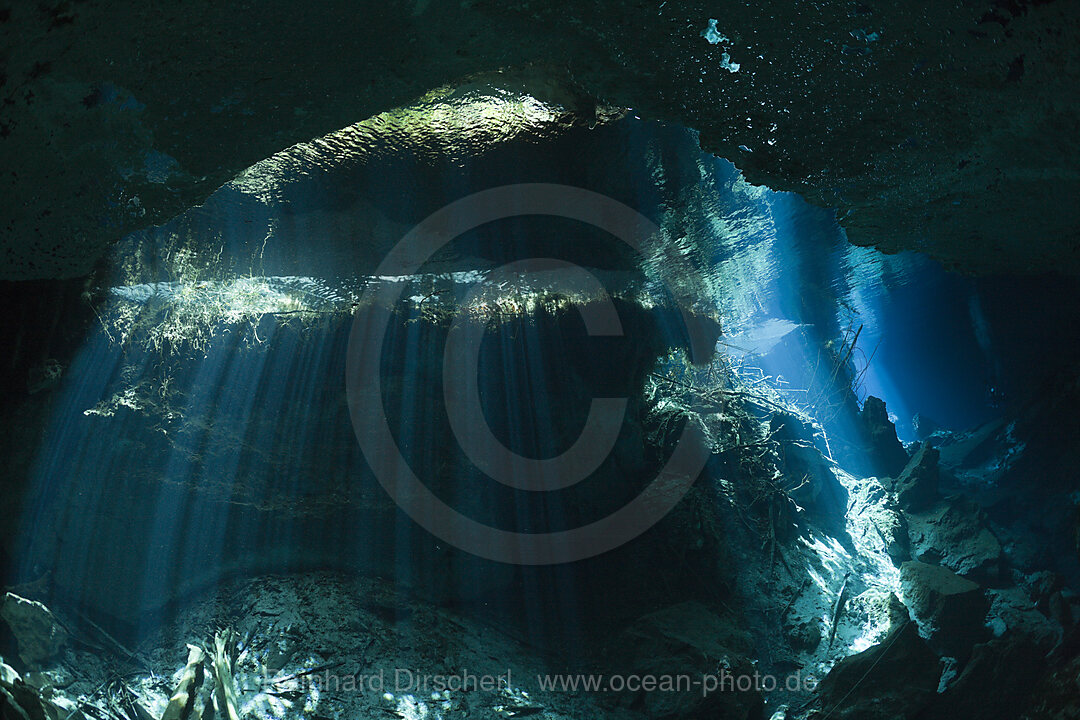 Entrance of Chac Mool Cenote, Playa del Carmen, Yucatan Peninsula, Mexico