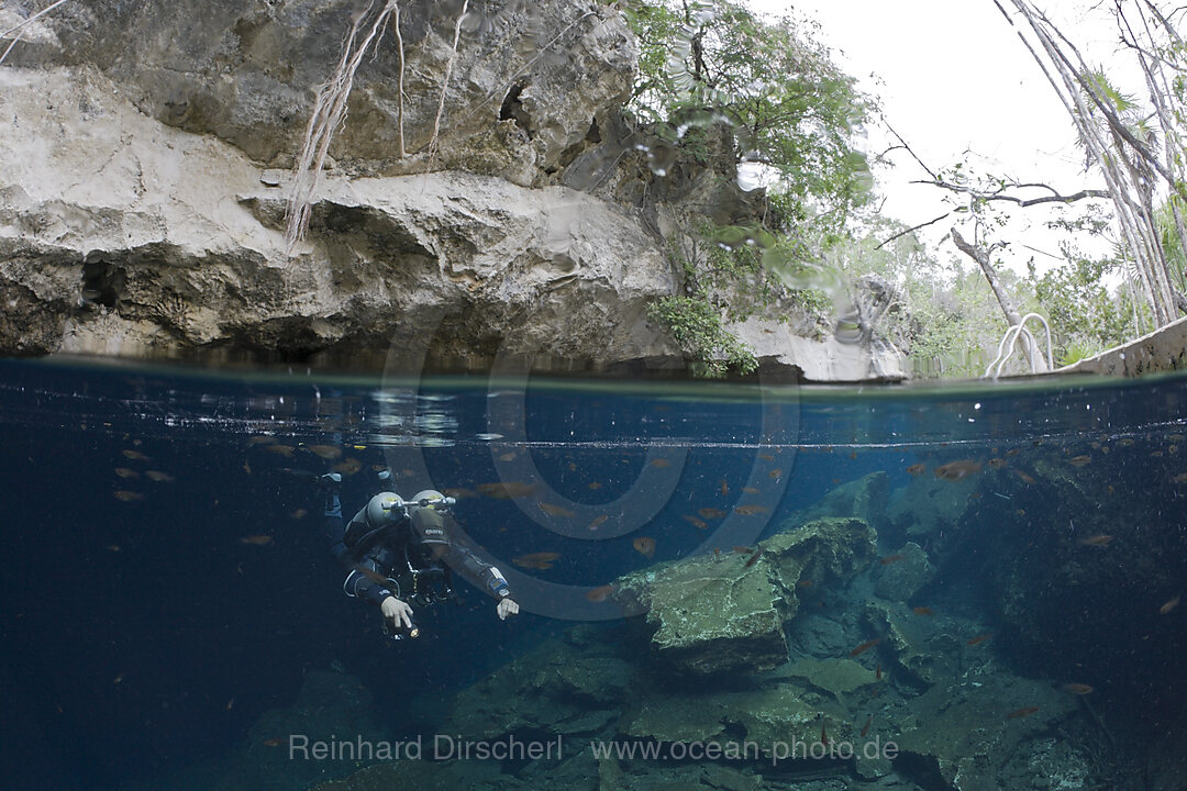 Tauchen in Cenote Chac Mool, Playa del Carmen, Yucatan Halbinsel, Mexiko