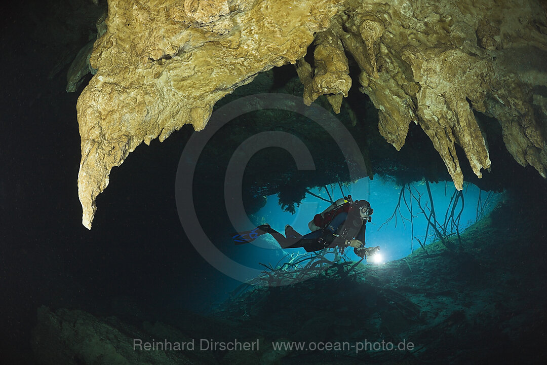 Taucher in Car Wash Cenote Aktun Ha, Tulum, Yucatan Halbinsel, Mexiko