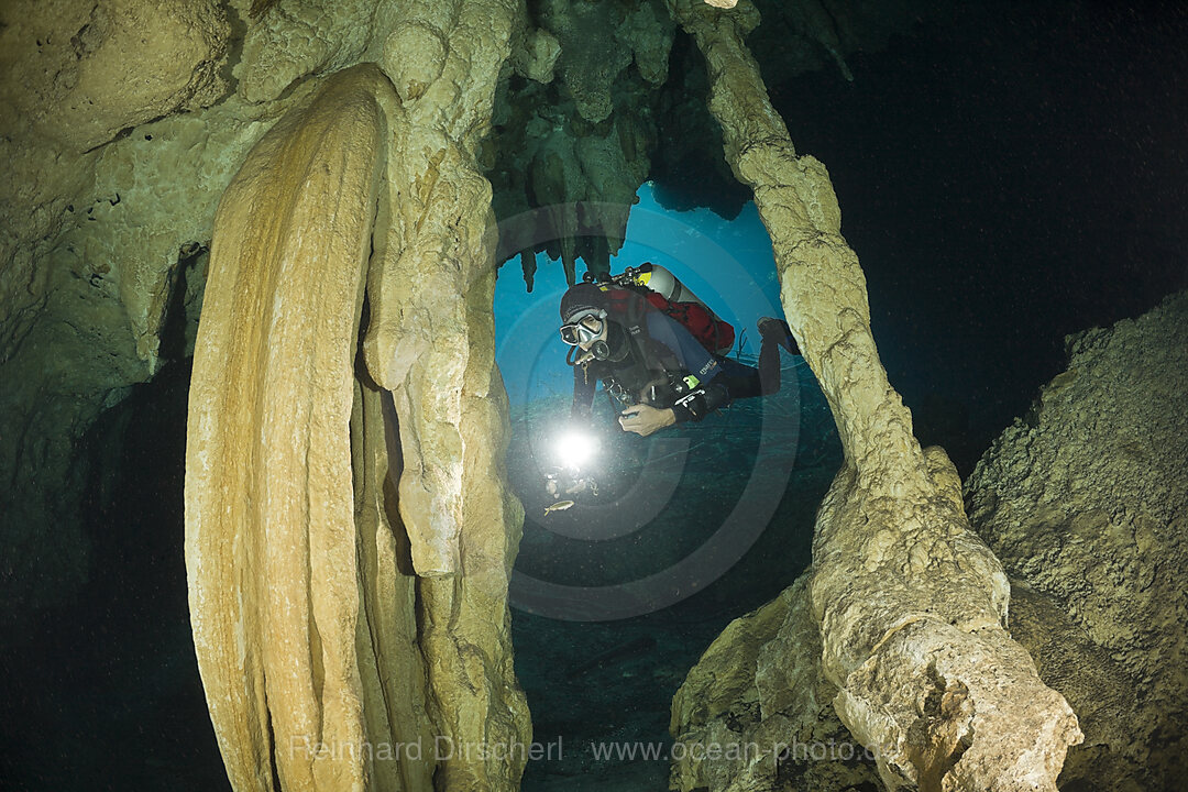 Taucher in Car Wash Cenote Aktun Ha, Tulum, Yucatan Halbinsel, Mexiko