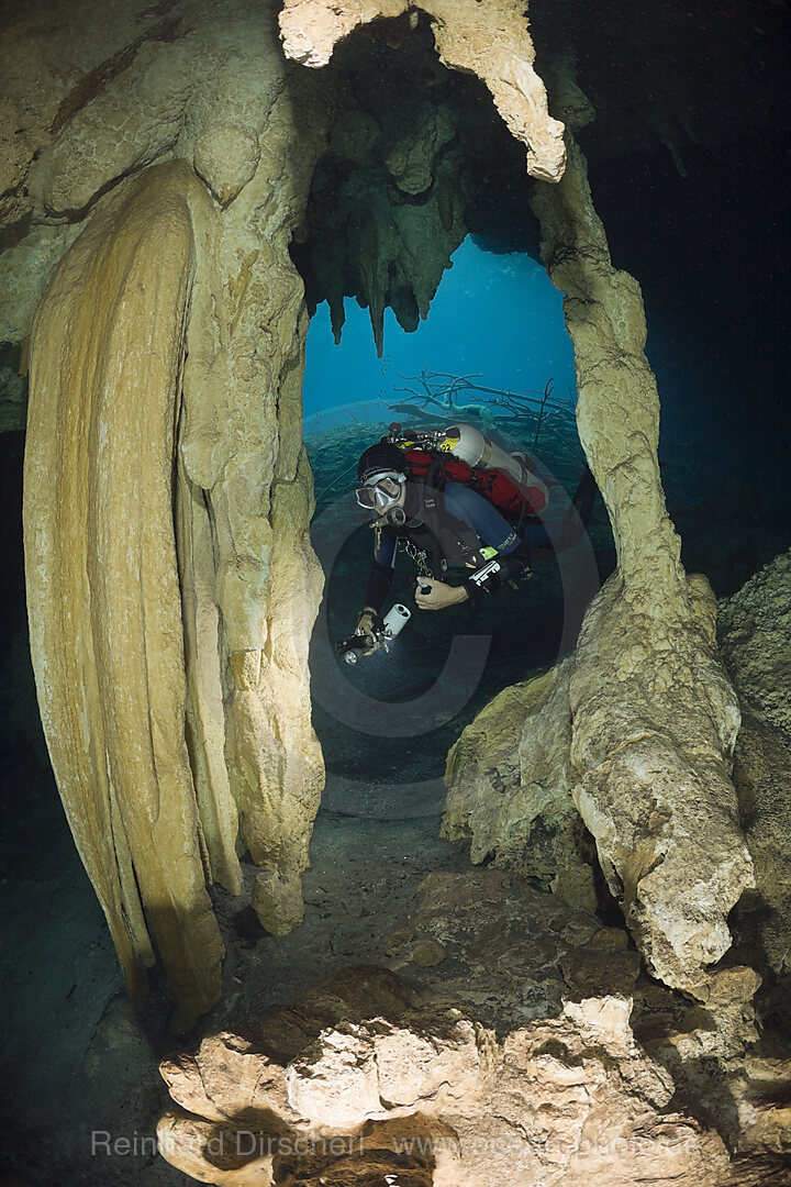 Taucher in Car Wash Cenote Aktun Ha, Tulum, Yucatan Halbinsel, Mexiko