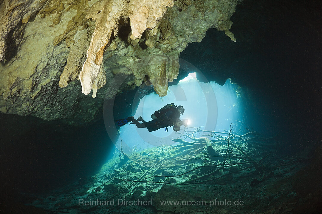 Taucher in Car Wash Cenote Aktun Ha, Tulum, Yucatan Halbinsel, Mexiko