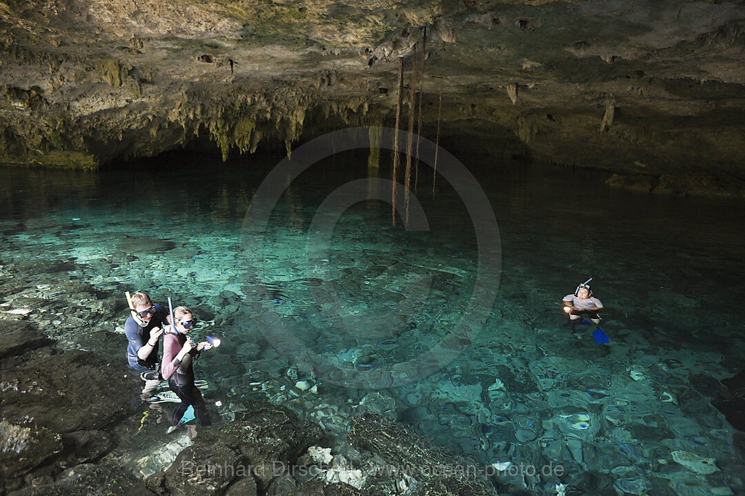 Touristen besuchen die Cenote Dos Ojos