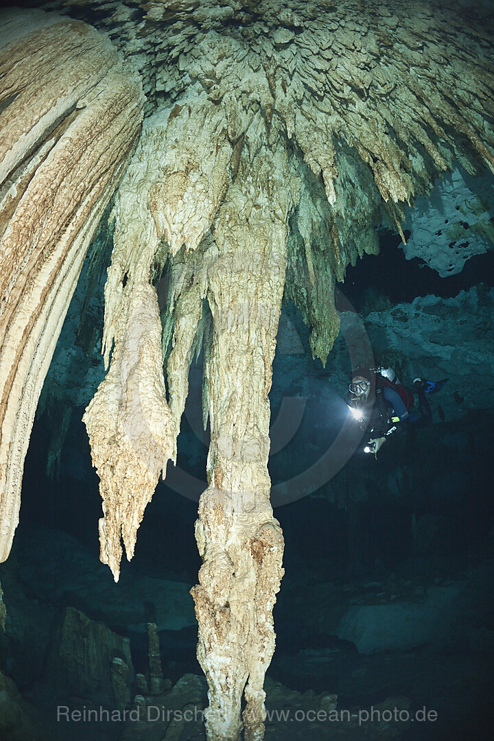 Taucher in Cenote Dos Ojos, Playa del Carmen, Yucatan Halbinsel, Mexiko