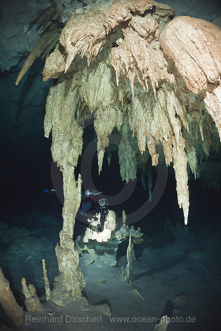 Taucher in Bat Cave Cenote, Playa del Carmen, Yucatan Halbinsel, Mexiko