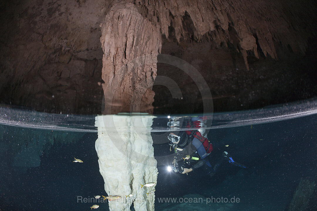 Taucher in Bat Cave Cenote, Playa del Carmen, Yucatan Halbinsel, Mexiko