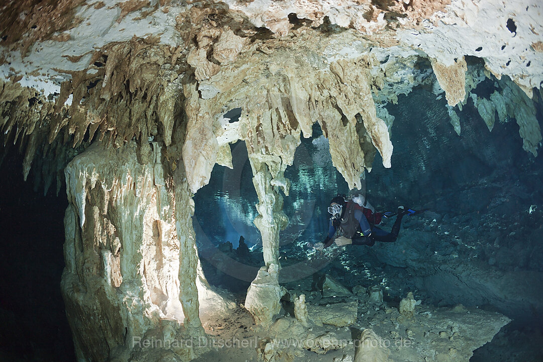 Taucher in Cenote Dos Ojos, Playa del Carmen, Yucatan Halbinsel, Mexiko