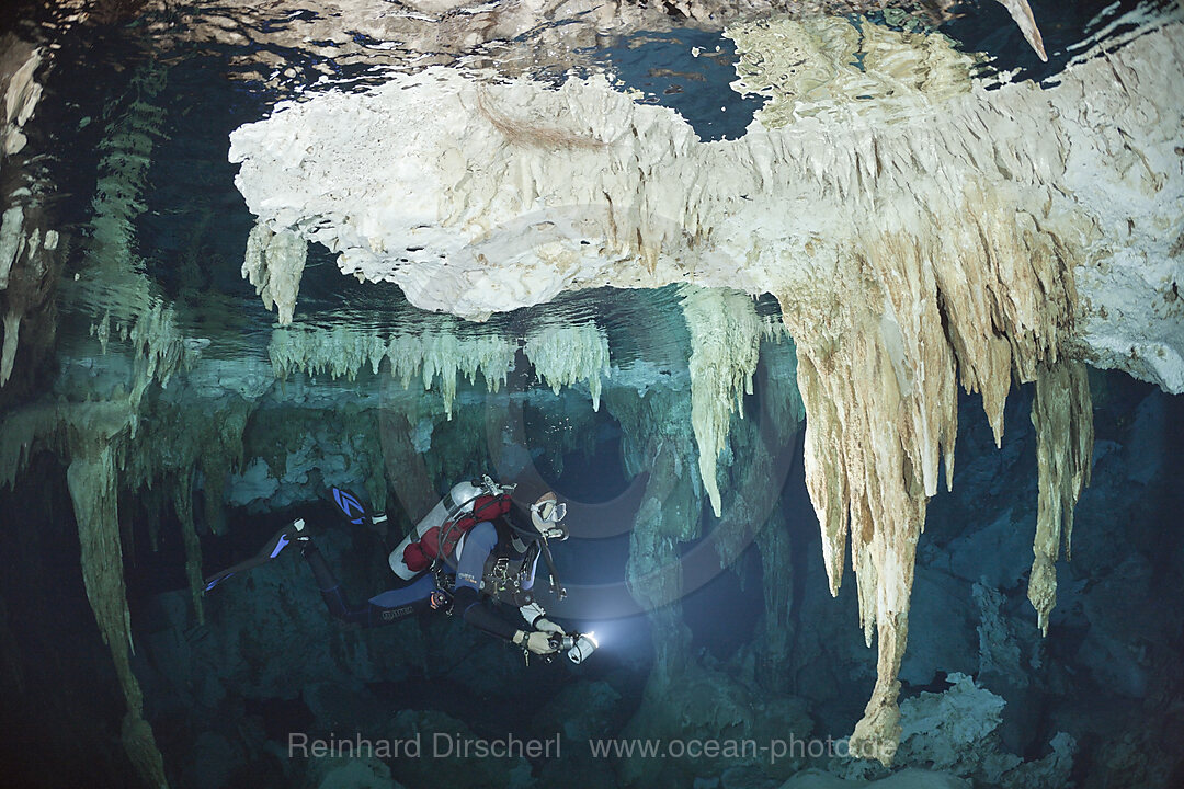 Taucher in Cenote Dos Ojos, Playa del Carmen, Yucatan Halbinsel, Mexiko