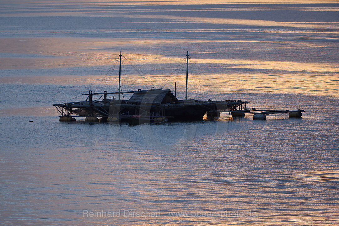 Impressionen der Lembeh Strait, Nord Sulawesi, Indonesien