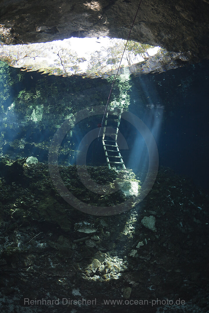 Eingang der Gran Cenote, Tulum, Yucatan Halbinsel, Mexiko