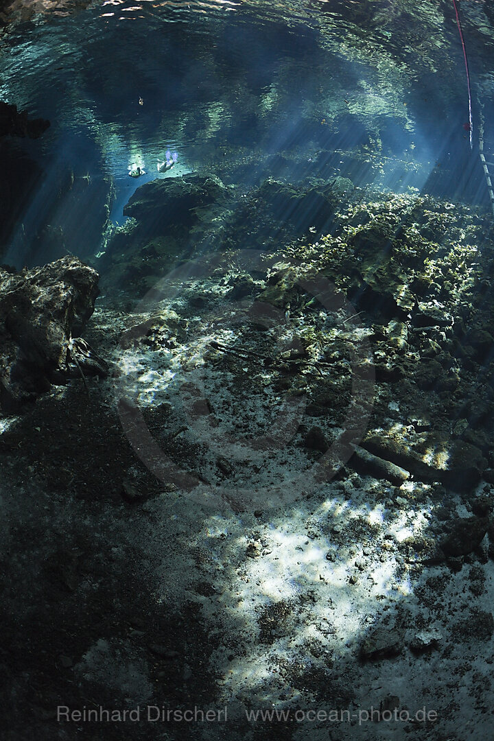 Eingang der Gran Cenote, Tulum, Yucatan Halbinsel, Mexiko